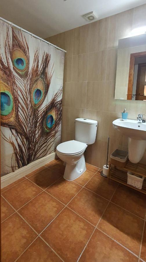 Cal Tranquil Camprodon, Acollidor Atic Al Centre *