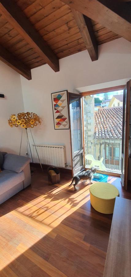 Apartment Cal Tranquil Camprodon, Acollidor Atic Al Centre