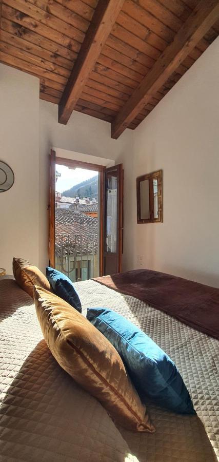 Cal Tranquil Camprodon, Acollidor Atic Al Centre